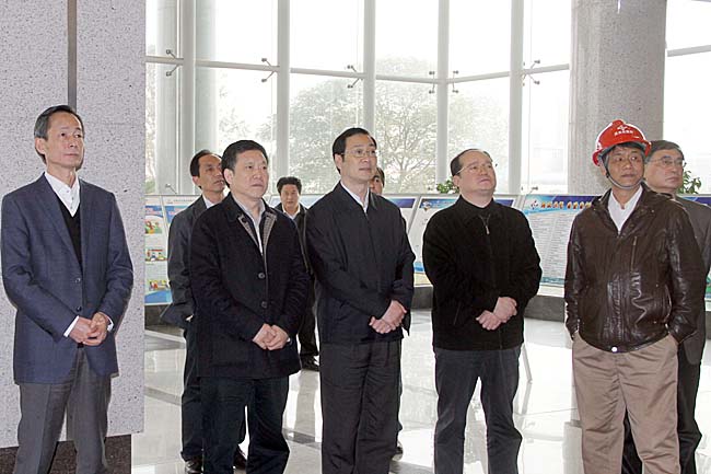 重慶市副市長劉強到重慶分公司調(diào)研