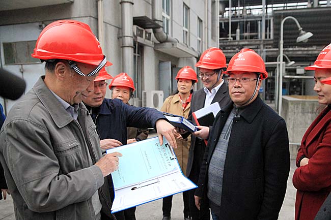 “云天化聚甲醛聚合及催化劑技術(shù)研究”項目通過省科技廳現(xiàn)場查定