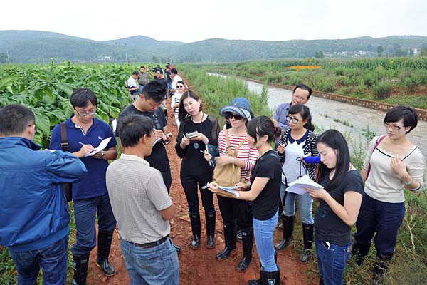 云天化“烤煙種植全程解決方案”取得實效