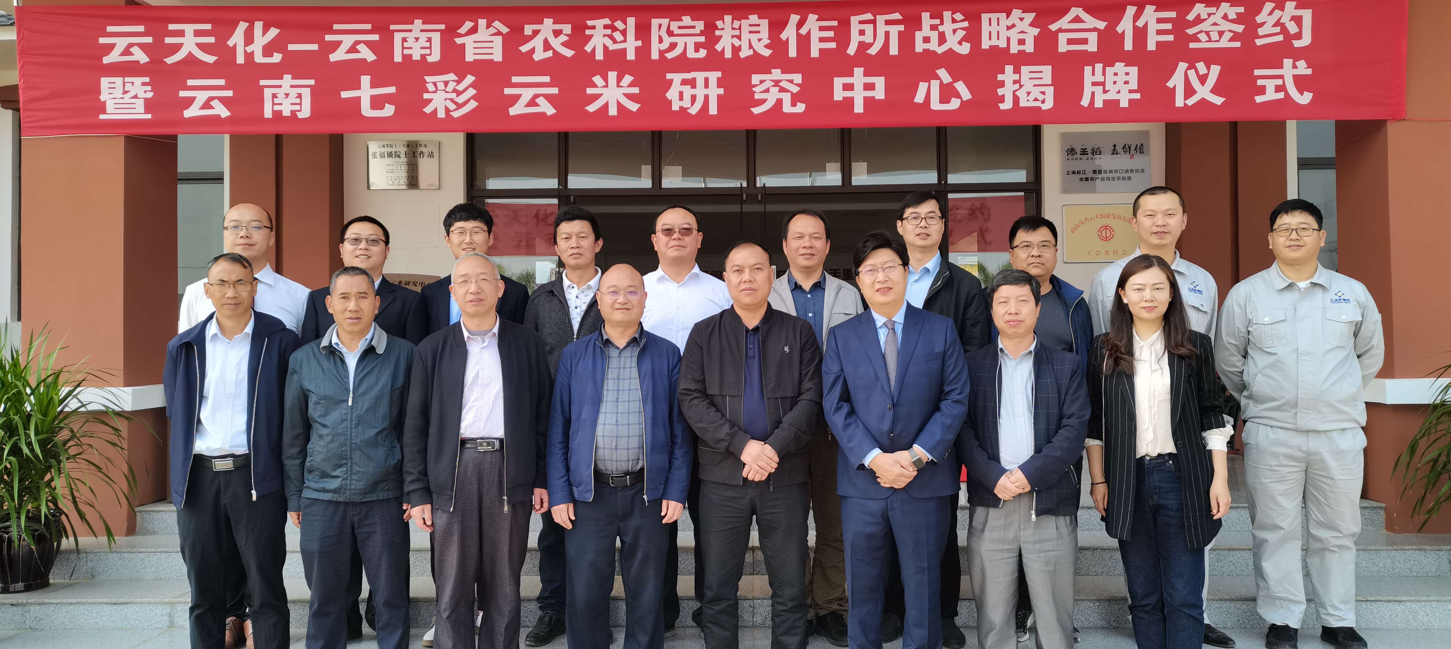 云天化與省農(nóng)科院糧作所成立“云南七彩云米研究中心”